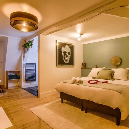 Lägenhet Avec Vue Sur Le Chateau